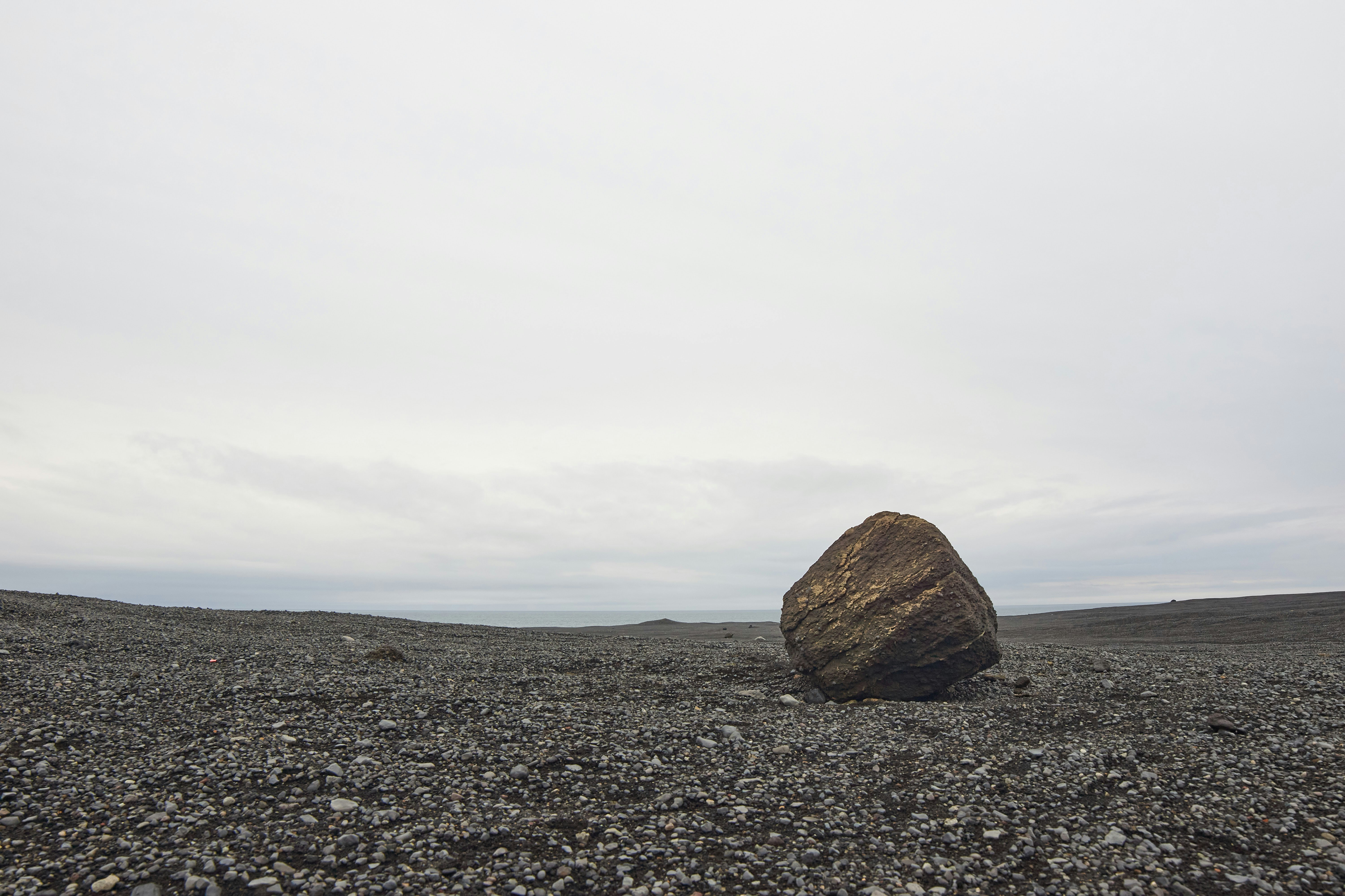 brown rock on gray sand under white cloudy sky during daytime